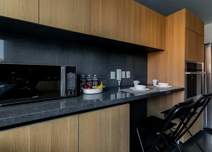 Capitalia Galileo Penthouse Apartment Mexico City